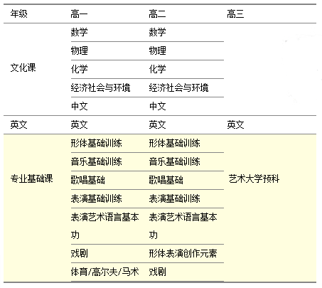 藝術(表演)特色課程