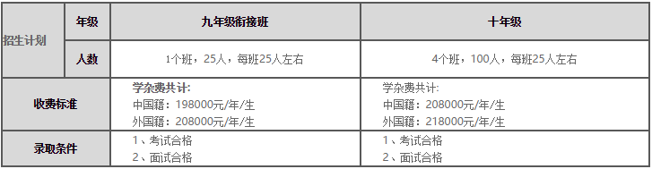 招生信息